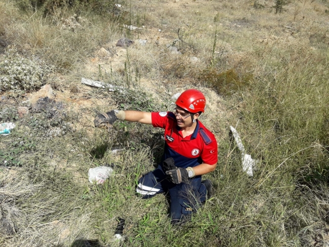 Denizli'de boruya sıkışan 4 kaplumbağayı itfaiye ekipleri kurtardı